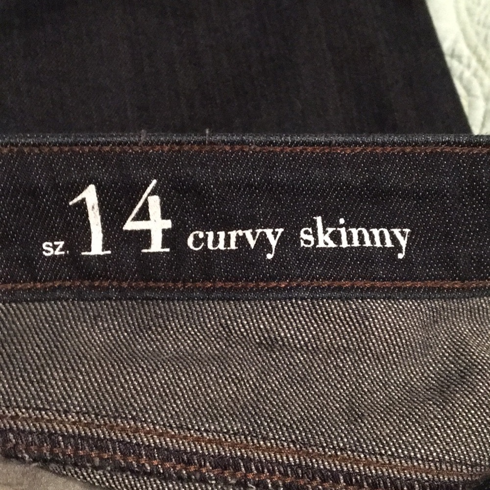 Dark Wash Curvy Skinny Loft Jeans